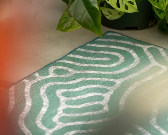 Virex Treatment: Remove Viruses and Bacterias Sit-In carpets undergo the special Virex treatment that reduces the presence of bacteria and viruses in carpets.