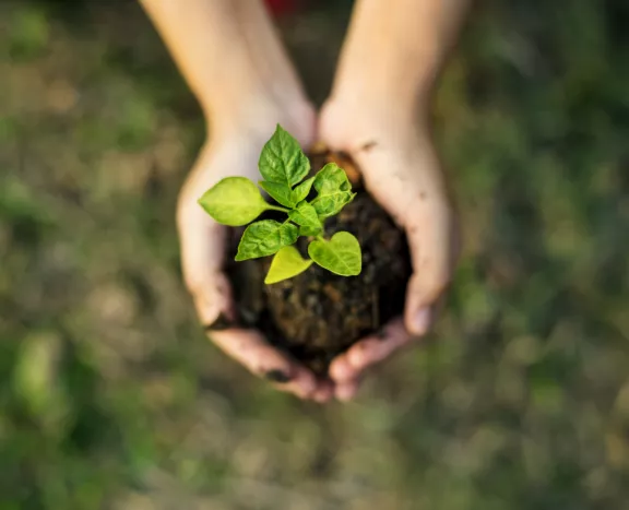 Vision e Strategia Sostenibile Sit-In - 2 Sit-In abbraccia una strategia sostenibile. In tutti i nostri processi produttivi ci impegniamo nel rispettare l'ambiente e nell'utilizzare materiali sostenibili. - 2