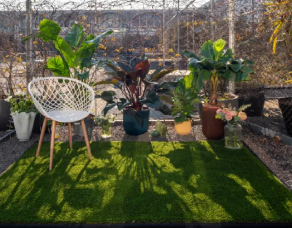 Why you should choose Sit-In? Find out more! - 1 Sit-In, passion and innovation in every process. Discover our products and why you should choose us! Visit our online store! - 1